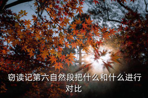 竊讀記原文,第二集:偷讀現代文學名作家