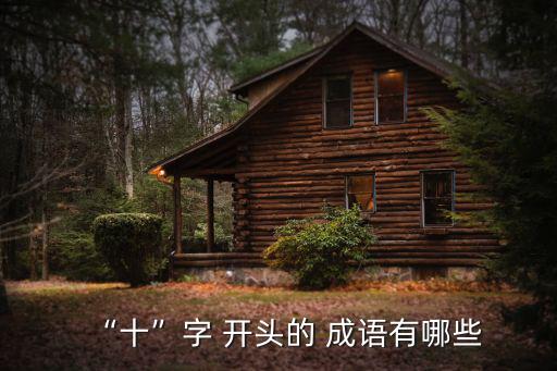 “十”字 開頭的 成語有哪些