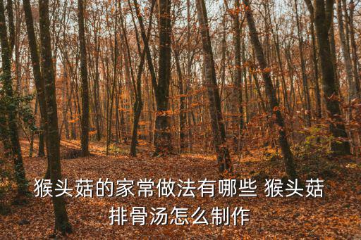 猴頭菇排骨湯,猴頭菇yam排骨湯怎么吃?