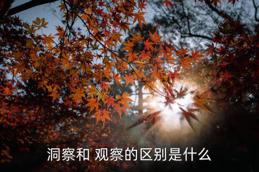 觀察的意思是什么,西沙群島也是海鳥的世界