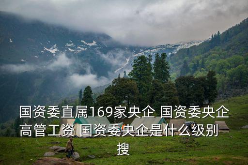 國資委直屬169家央企 國資委央企高管工資 國資委央企是什么級別  搜