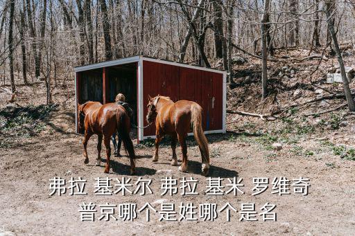 弗拉基米羅維奇,俄羅斯總統(tǒng)拉基米er