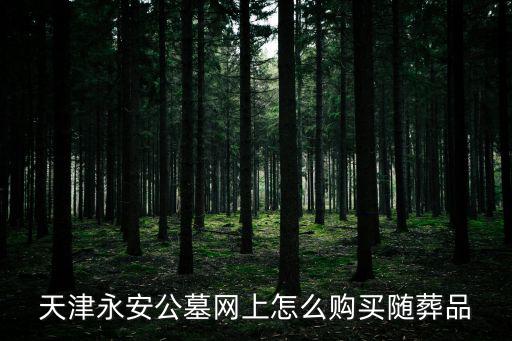 天津永安公墓網上怎么購買隨葬品