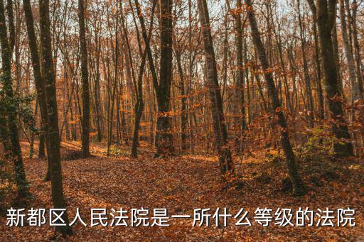 新都區人民法院是一所什么等級的法院