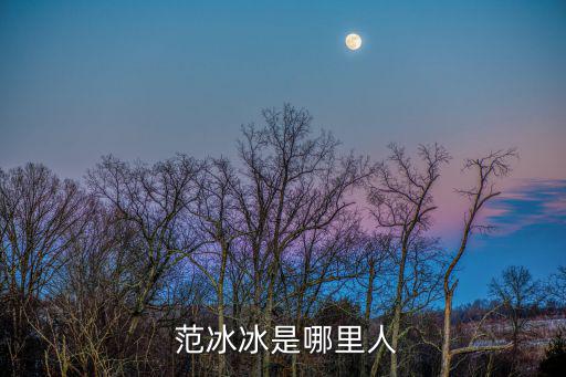 范冰冰國籍,范冰冰工作室采訪王京花出任華誼總經理