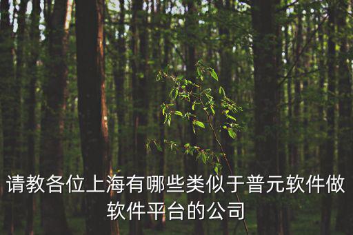 請教各位上海有哪些類似于普元軟件做軟件平臺的公司