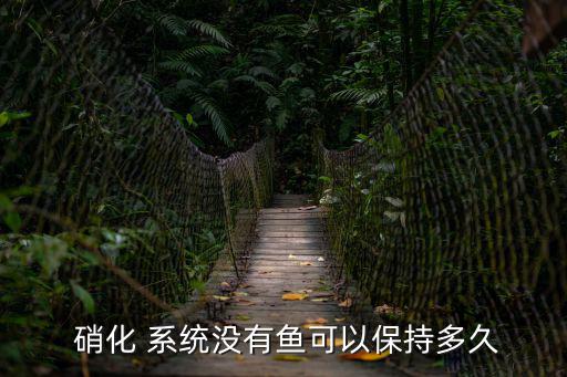 硝化系統,魚缸硝化系統需要充氧才能維持正常狀態