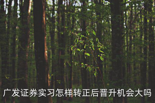 證券公司實習，找銀行或證券公司實習