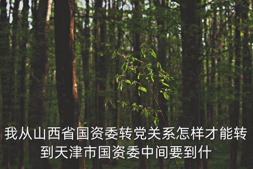 天津市寧河國資委，我從山西省國資委轉黨關系怎樣才能轉到天津市國資委中間要到什