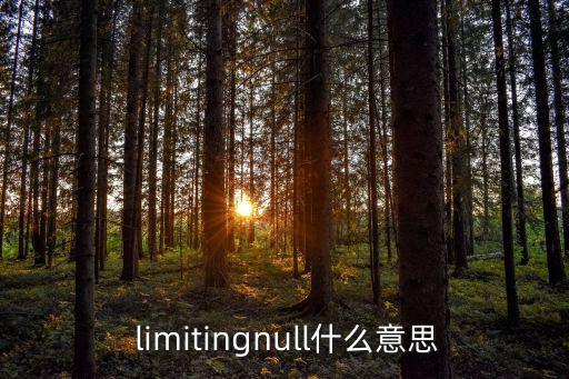  limitingnull什么意思