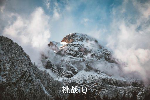 挑戰IQ