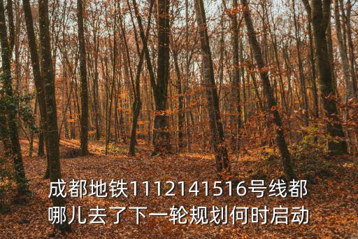 成都地鐵1112141516號(hào)線都哪兒去了下一輪規(guī)劃何時(shí)啟動(dòng)