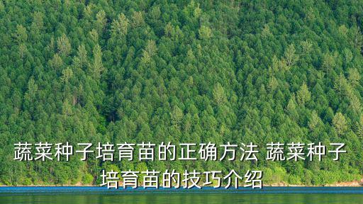 蔬菜種子培育苗的正確方法 蔬菜種子培育苗的技巧介紹