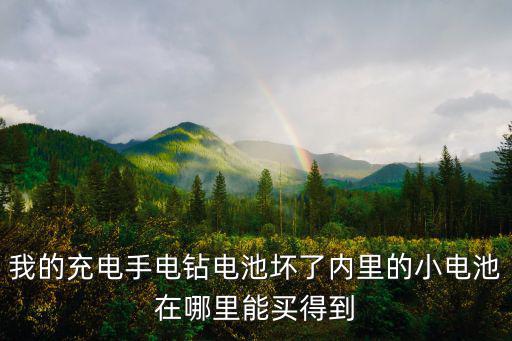 我的充電手電鉆電池壞了內里的小電池在哪里能買得到