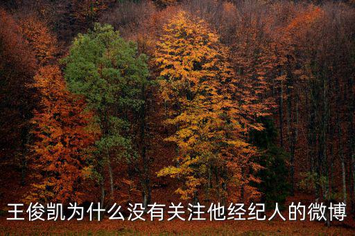 王俊凱為什么沒有關(guān)注他經(jīng)紀(jì)人的微博