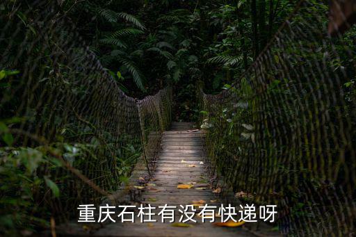 重慶石柱有沒有快遞呀