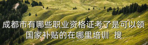 成都市有哪些職業資格證考了是可以領國家補貼的在哪里培訓  搜