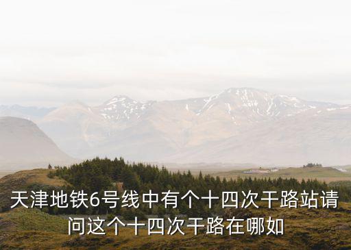 天津地鐵6號線中有個十四次干路站請問這個十四次干路在哪如