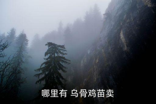 泰和烏骨雞,四大名烏雞之一五黑一綠雞來自中國云南
