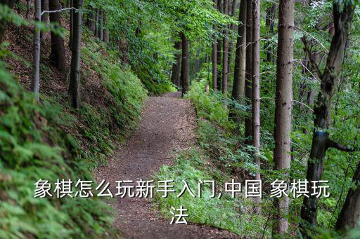  象棋怎么玩新手入門,中國 象棋玩法