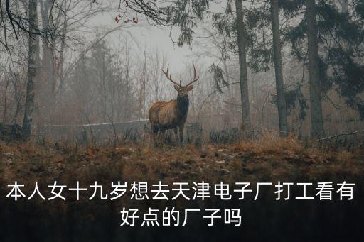 本人女十九歲想去天津電子廠打工看有好點的廠子嗎