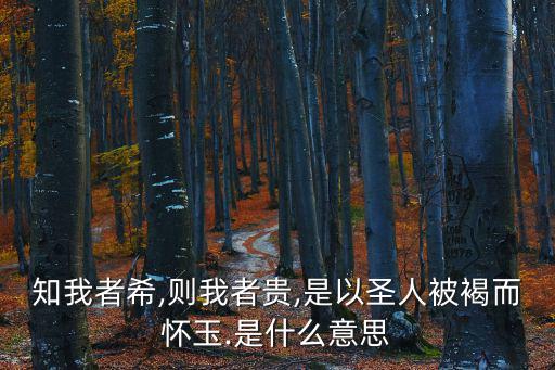 知我者希,則我者貴,是以圣人被褐而懷玉.是什么意思