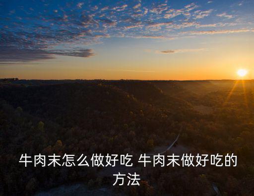  牛肉末怎么做好吃 牛肉末做好吃的方法