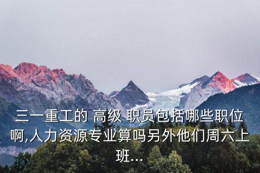 高級職員,職總平臺職員崗位分布