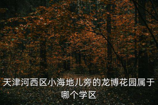 天津河西區小海地兒旁的龍博花園屬于哪個學區
