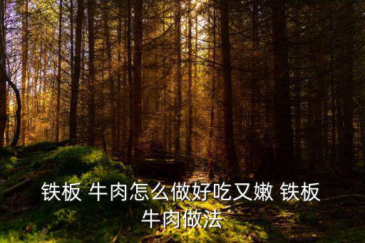  鐵板 牛肉怎么做好吃又嫩 鐵板 牛肉做法