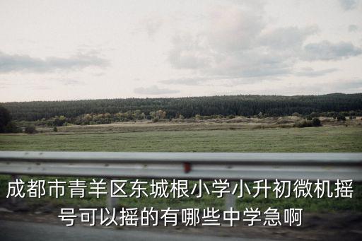 成都市青羊區東城根小學小升初微機搖號可以搖的有哪些中學急啊