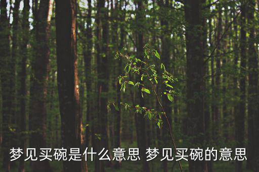 夢見買碗是什么意思 夢見買碗的意思