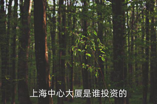 上海中心大廈是誰投資的