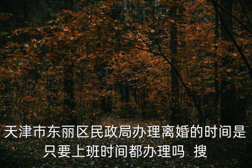 天津市東麗區民政局辦理離婚的時間是只要上班時間都辦理嗎  搜