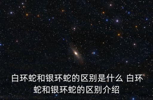  白環蛇和銀環蛇的區別是什么 白環蛇和銀環蛇的區別介紹