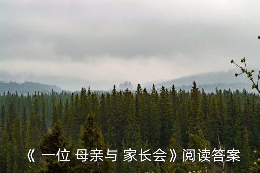 一位母親與家長會