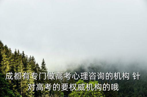 成都有專門做高考心理咨詢的機(jī)構(gòu) 針對高考的要權(quán)威機(jī)構(gòu)的哦