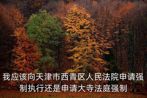 我應該向天津市西青區(qū)人民法院申請強制執(zhí)行還是申請大寺法庭強制