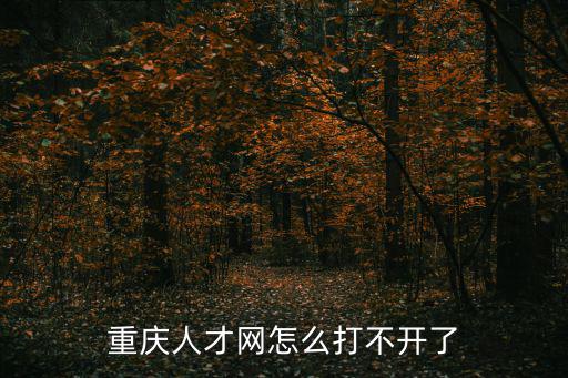 重慶人才網怎么打不開了