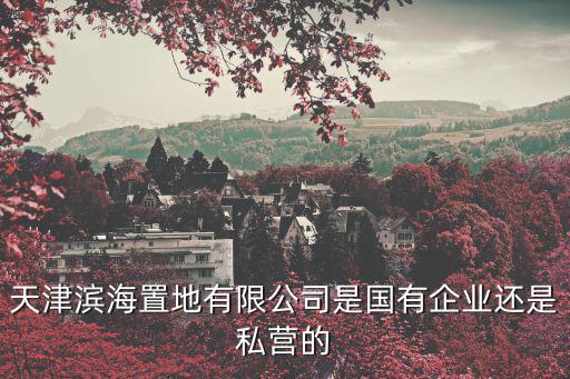 天津濱海置地有限公司是國有企業還是私營的