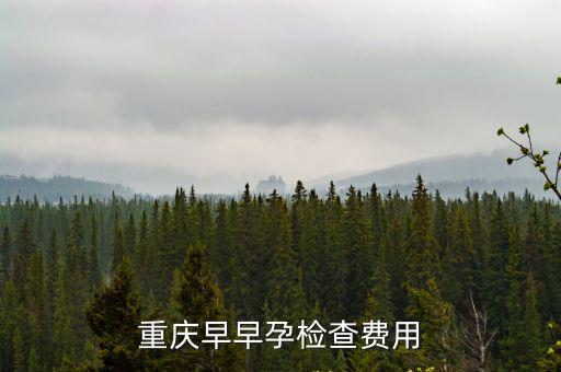 重慶早早孕檢查費用