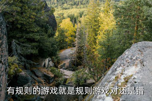 有規則的游戲就是規則游戲對還是錯