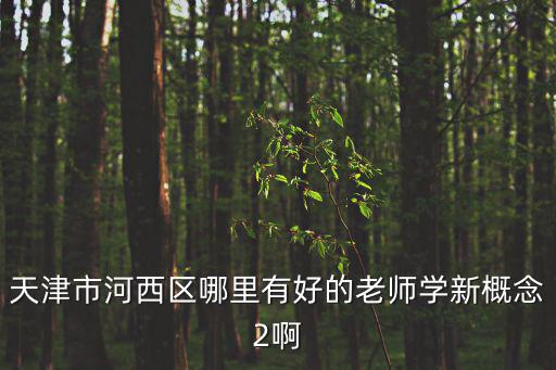 天津市河西區(qū)哪里有好的老師學(xué)新概念2啊