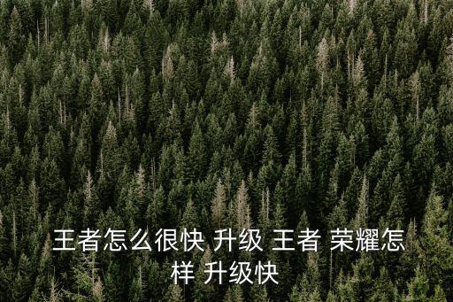  王者怎么很快 升級 王者 榮耀怎樣 升級快
