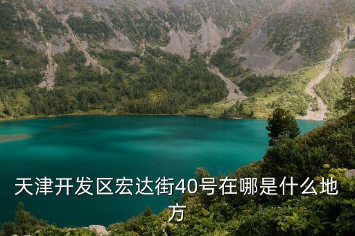 天津市濱海新區開發區宏達街，天津開發區宏達街40號在哪是什么地方
