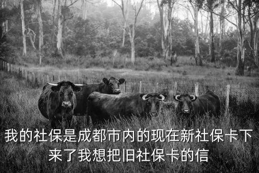 我的社保是成都市內的現在新社保卡下來了我想把舊社保卡的信