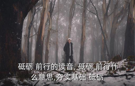  砥礪 前行的讀音, 砥礪 前行什么意思,夯實(shí)基礎(chǔ) 砥礪