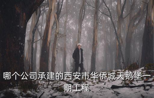江蘇中興建設有限公司 天津市項目，江蘇中興建設有限公司 怎么樣