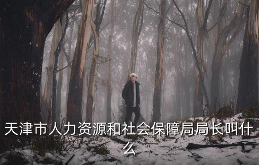 天津市人力資源和社會保障局局長叫什么