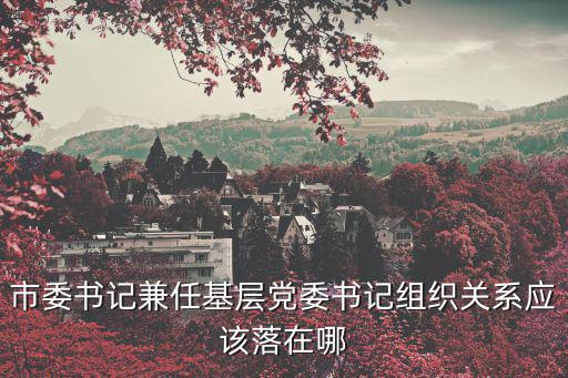 天津市委書記投票棄權(quán)，市委書記兼任基層黨委書記組織關(guān)系應(yīng)該落在哪